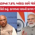 India GDP Growth