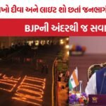 Modi Birthday Celebration