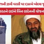 Osama Bin Laden India Target