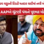 Raghav Chadha SIR Controversy