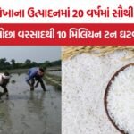 Rice Production Decline India