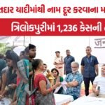 Delhi SIR Voter List Audit