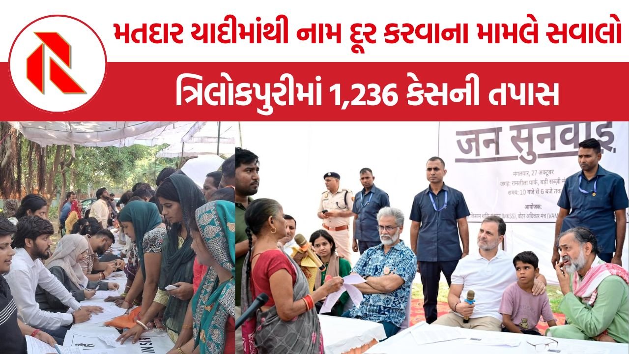 Delhi SIR Voter List Audit: દિલ્હીમાં SIR જનસુનાવણીમાં મોટો ખુલાસો, ત્રિલોકપુરીમાં 416 મતદારોનાં નામ ખોટી રીતે દૂર કરાયાનો આરોપ