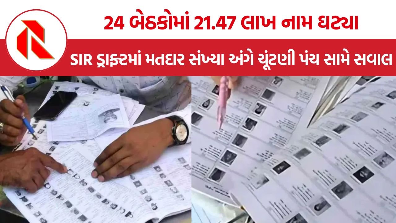 Delhi SIR Voter List: દિલ્હી SIRના ડ્રાફ્ટ રોલમાં 24 બેઠકો પર 2025માં મતદાન કરનારાઓથી પણ ઓછા નામ, 1.23 લાખનો તફાવત