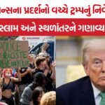 Donald Trump on France Protests