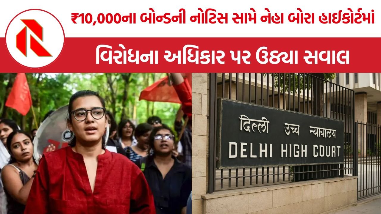 Neha Bora Delhi High Court: ‘સત્તા પરિવર્તનની માગ ખોટી નથી’, નેહા બોરાની અરજી પર દિલ્હી હાઈકોર્ટમાં ઉગ્ર દલીલો