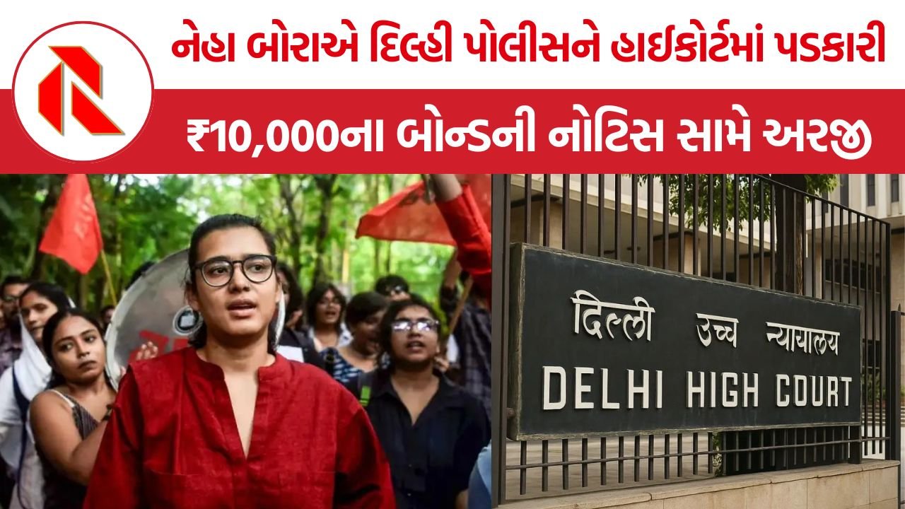 Neha Bora Police Peace Bond Notice: નેહા બોરાએ દિલ્હી પોલીસની નોટિસને હાઈકોર્ટમાં પડકારી, ₹10,000ના બોન્ડની માગ સામે અરજી