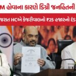 PM Degree RTI Case
