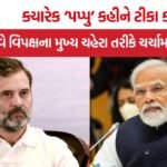 Rahul Gandhi Political Journey