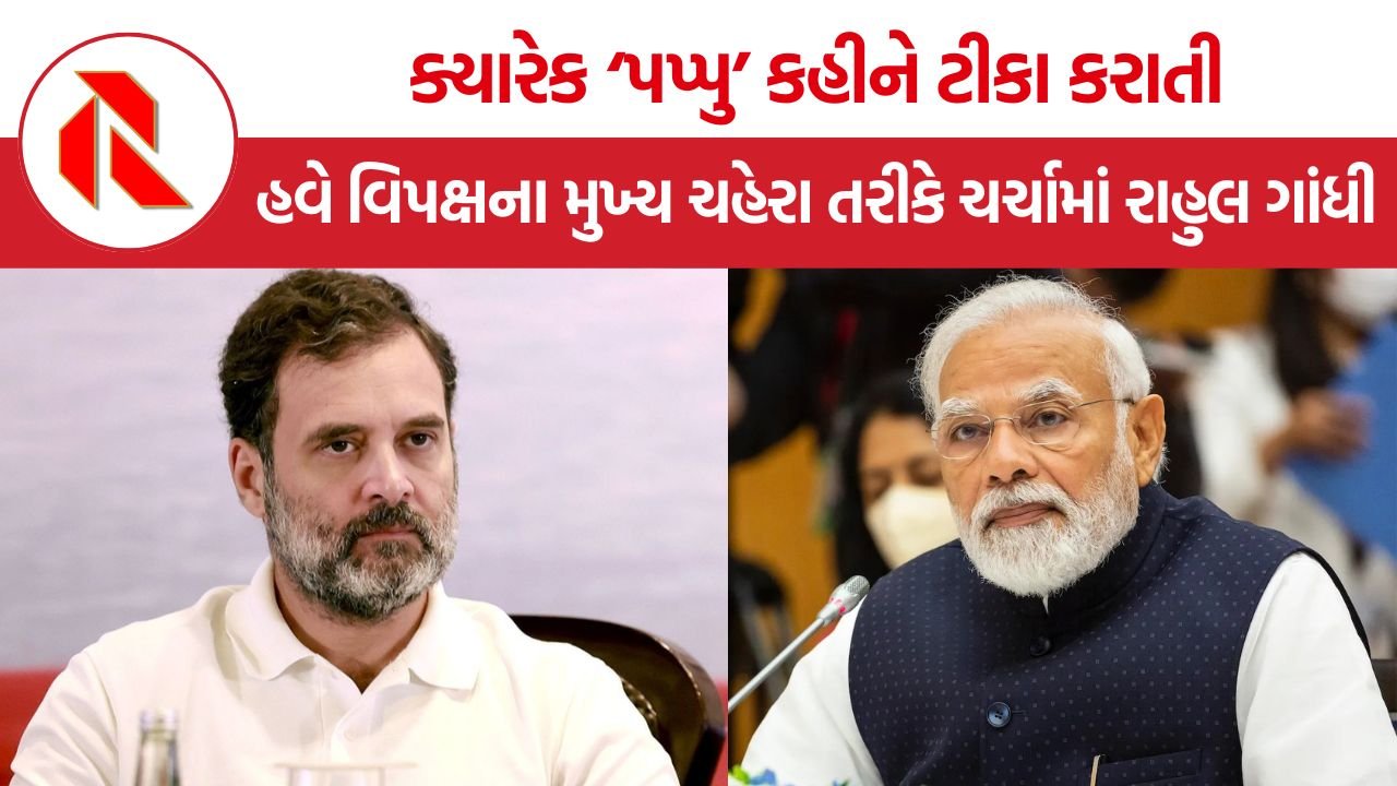 Rahul Gandhi Political Journey: ભારત જોડો યાત્રાથી વોટ ચોરીના મુદ્દા સુધી, રાહુલ ગાંધીના નેતૃત્વથી BJP પર દબાણ વધ્યું