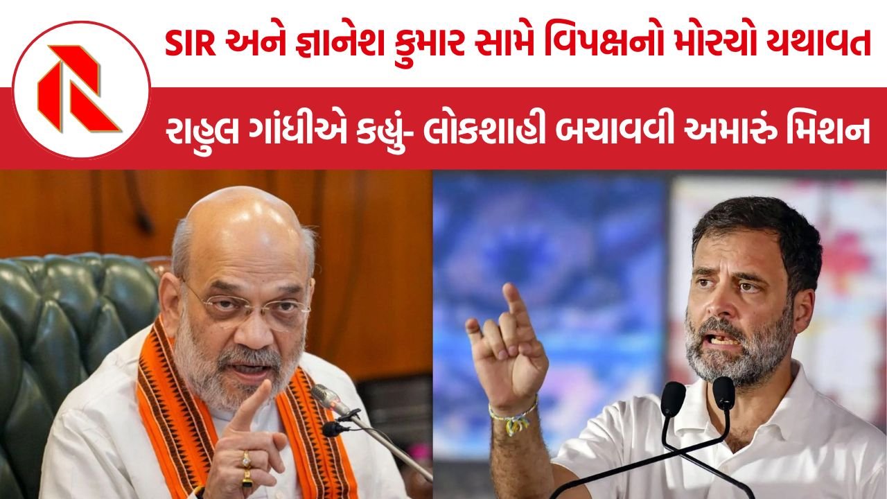 Rahul Gandhi SIR Protest: SIR અને જ્ઞાનેશ કુમાર સામે વિપક્ષનું આંદોલન ચાલુ રહેશે, રાહુલ ગાંધીએ કહ્યું- લોકશાહી પુનઃસ્થાપિત કરવી અમારું મિશન