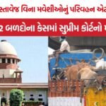 SC Cattle Transport Case