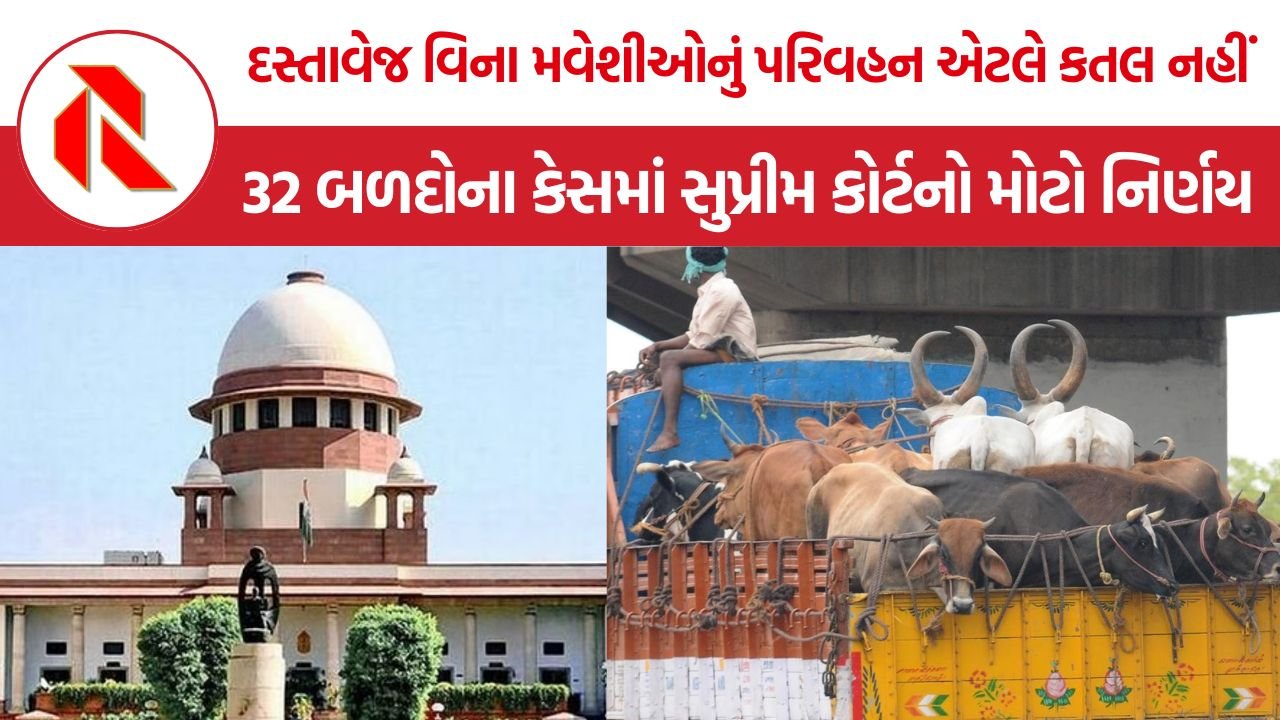 SC Cattle Transport Case: દસ્તાવેજ વિના મવેશીઓ લઈ જવામાં આવ્યા એટલે કતલ માટે લઈ જવાયા એવું માની શકાય નહીં – SC