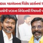 Vijay TVK SIR Protest