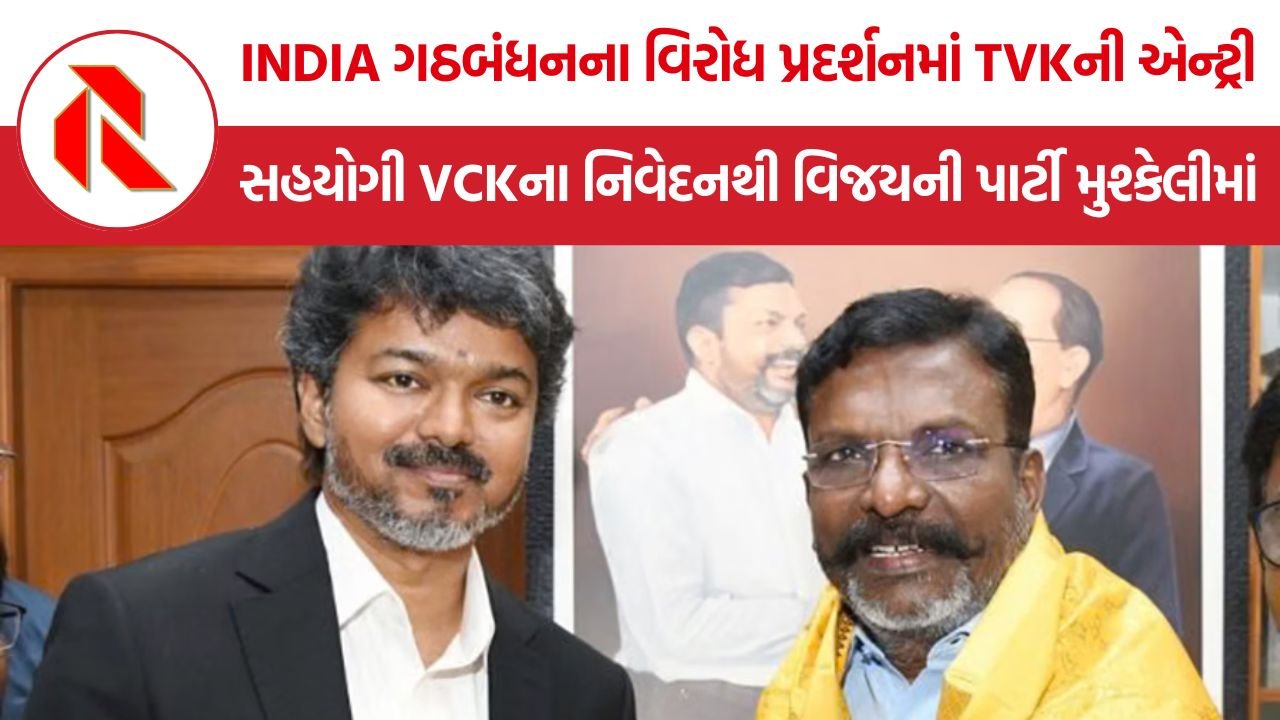 Vijay TVK SIR Protest: INDIA ગઠબંધનના વિરોધ પ્રદર્શનમાં TVKની એન્ટ્રી, સહયોગી VCKના નિવેદનથી વિજયની પાર્ટી મુશ્કેલીમાં